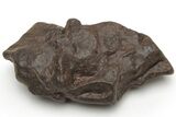 Authentic Chondrite Meteorites (5 to 10 Grams) - Western Sahara Desert - Photo 2